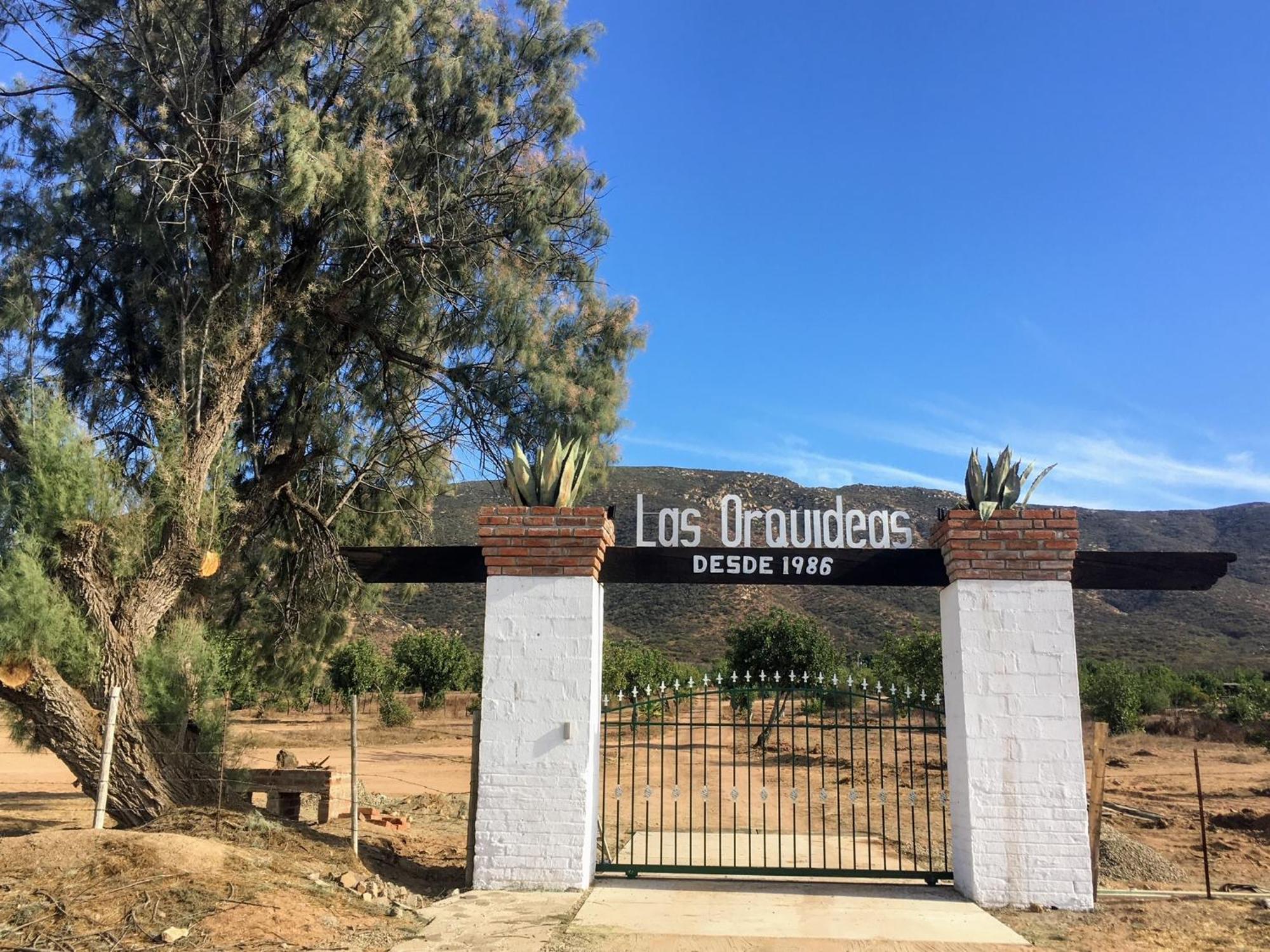 Las Orquideas Valle de Guadalupe Exterior foto